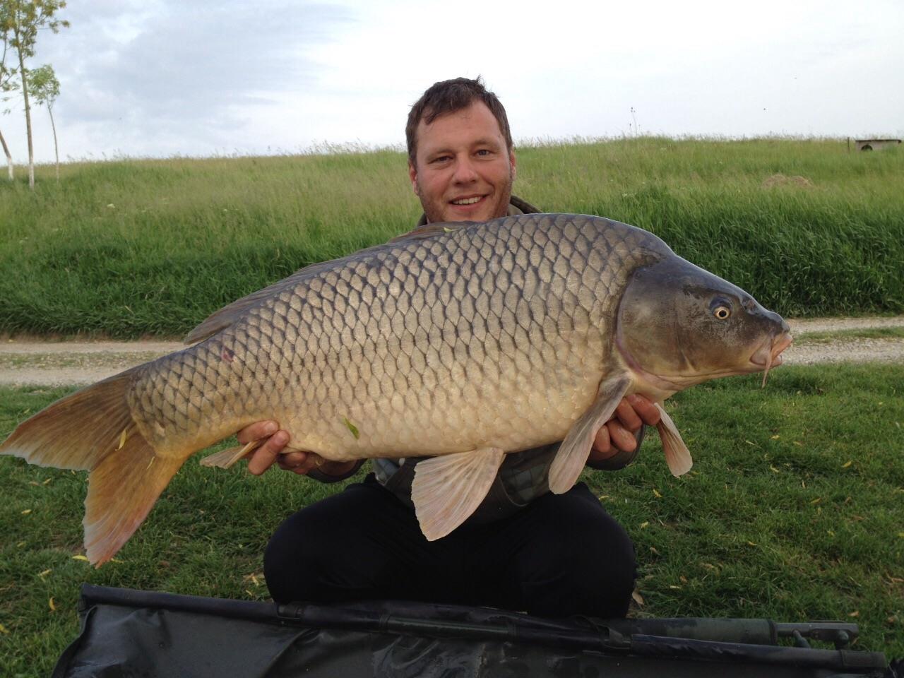 2015 - image111111111.jpg